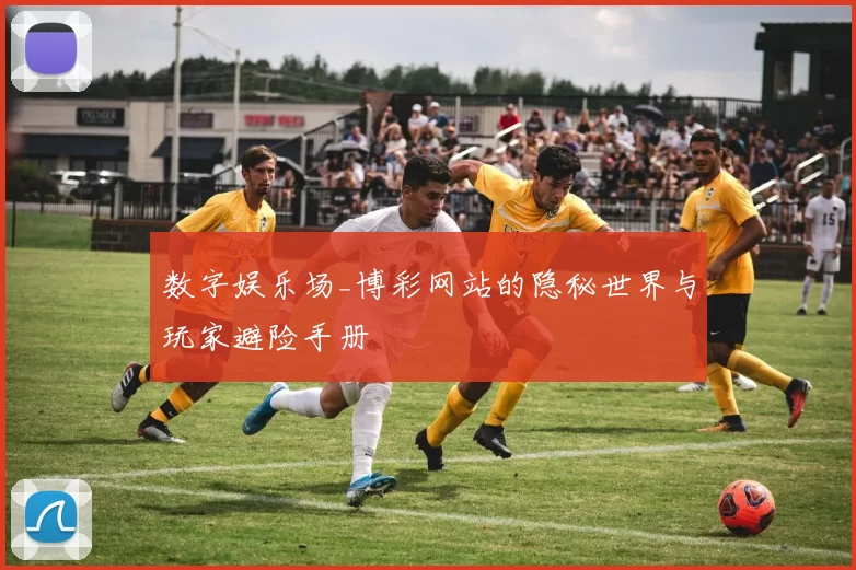 数字娱乐场_博彩网站的隐秘世界与玩家避险手册