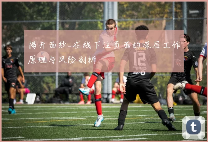揭开面纱_在线下注页面的深层工作原理与风险剖析