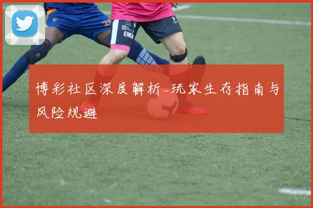 博彩社区深度解析_玩家生存指南与风险规避