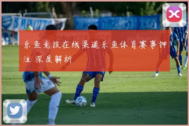 乐鱼竞技在线渠道乐鱼体育赛事押注 深度解析