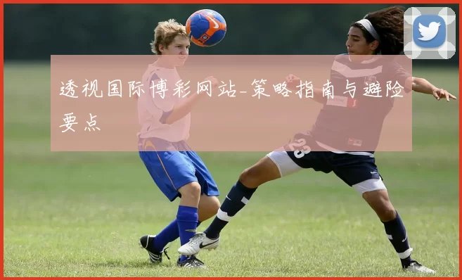 透视国际博彩网站_策略指南与避险要点