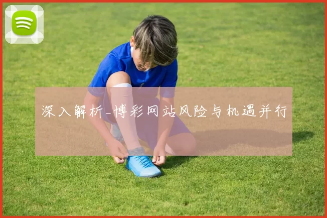 深入解析_博彩网站风险与机遇并行