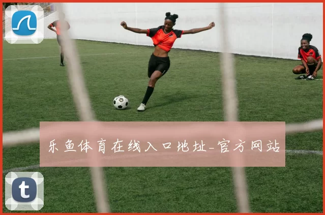 乐鱼体育在线入口地址_官方网站