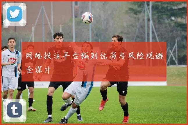 网络投注平台甄别优劣与风险规避全谋计