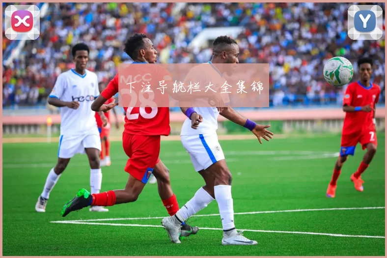 下注导航栏大全集锦