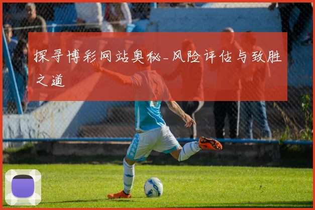 探寻博彩网站奥秘_风险评估与致胜之道