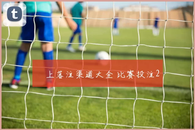 網上落注渠道大全 比赛投注2