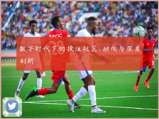 数字时代下的投注社区_动向与深度剖析