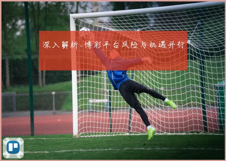 深入解析_博彩平台风险与机遇并行