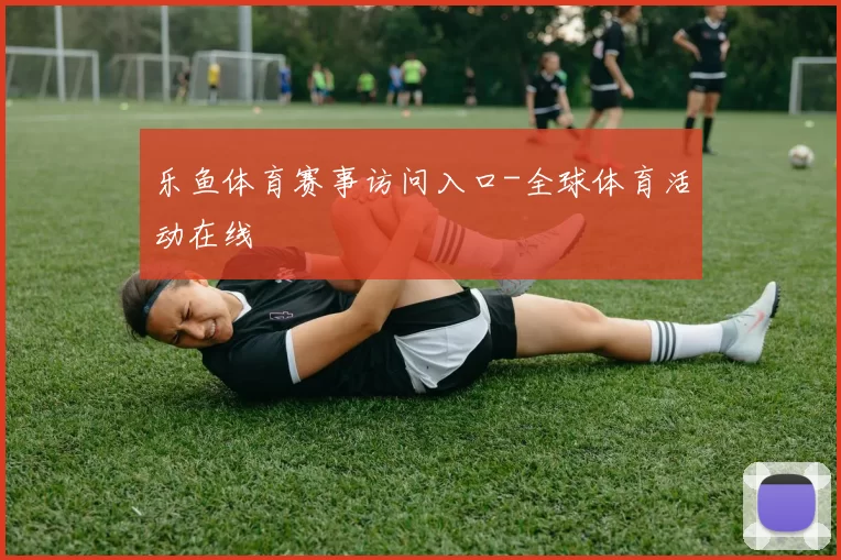 乐鱼体育赛事访问入口-全球体育活动在线