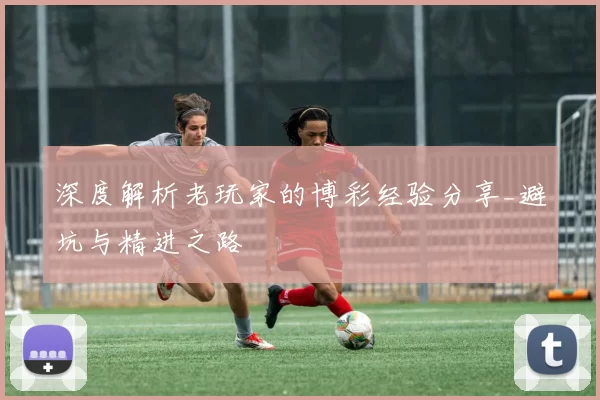 深度解析老玩家的博彩经验分享_避坑与精进之路