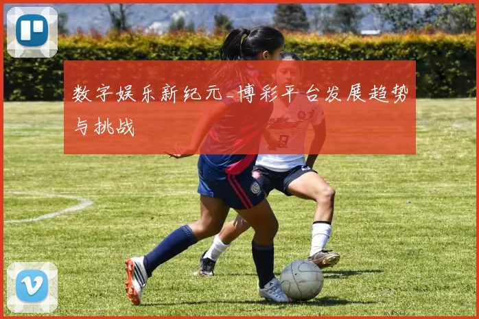 数字娱乐新纪元_博彩平台发展趋势与挑战