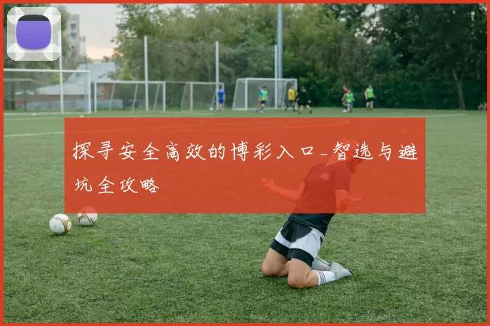 探寻安全高效的博彩入口_智选与避坑全攻略