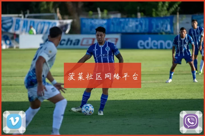 菠菜社区网络平台