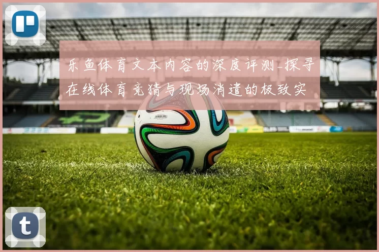 乐鱼体育文本内容的深度评测_探寻在线体育竞猜与现场消遣的极致实测感受