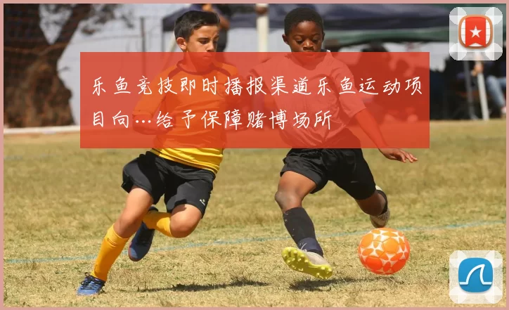 乐鱼竞技即时播报渠道乐鱼运动项目向…给予保障赌博场所