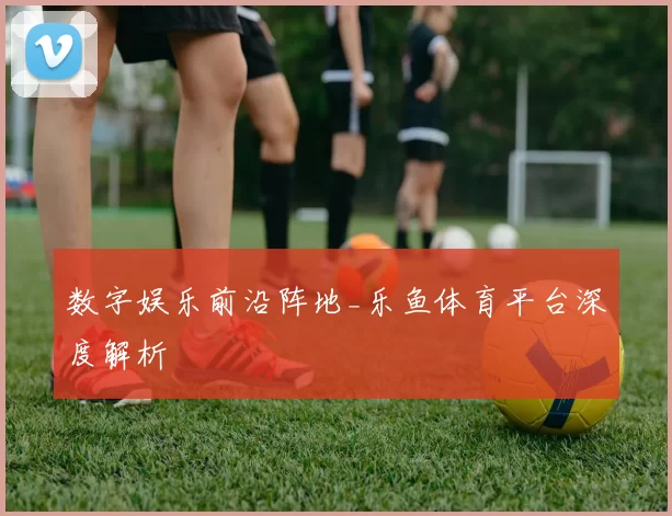 数字娱乐前沿阵地_乐鱼体育平台深度解析