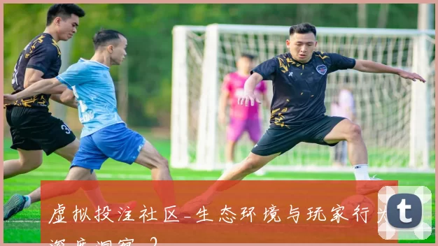 虚拟投注社区_生态环境与玩家行为深度洞察_2